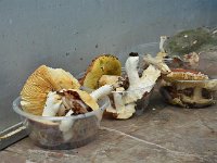 Raduno 4x4 27-07-2014 (93)